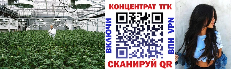 МЕГА tor  Тырныауз  Дистиллят ТГК концентрат 