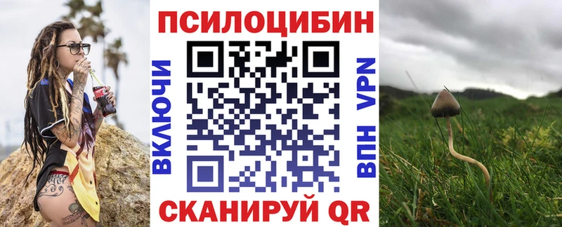 купить   mega ССЫЛКА  Псилоцибиновые грибы Psilocybe  Тырныауз 